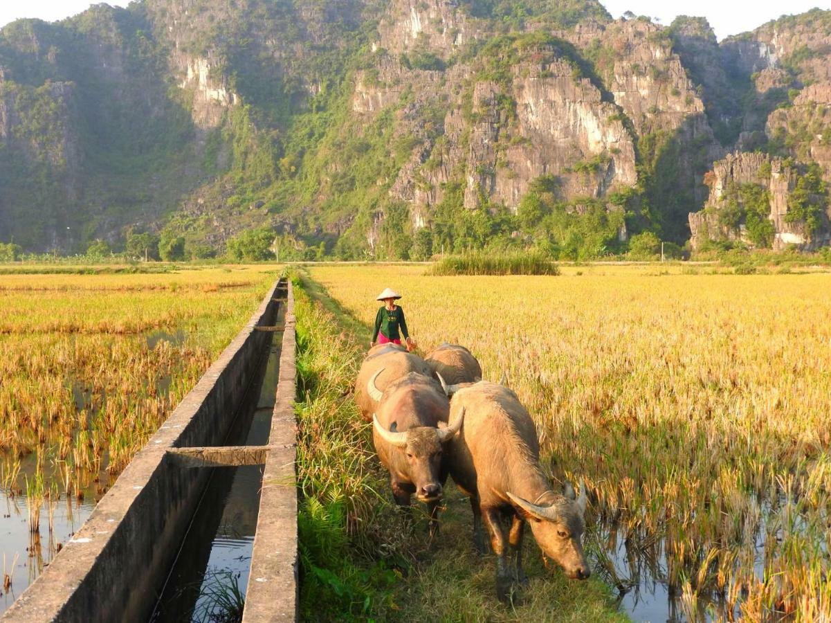 Tam Coc Holiday Hotel & Villa Ninh Binh Zewnętrze zdjęcie
